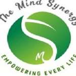 Mind Synergy profile picture