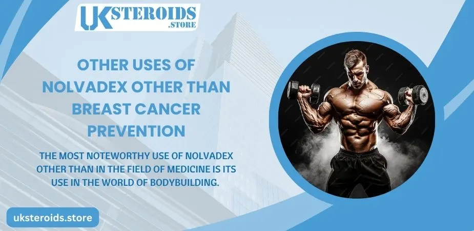Nolvadex: Uses, Applications, and Side Effects - UK Steroids Store