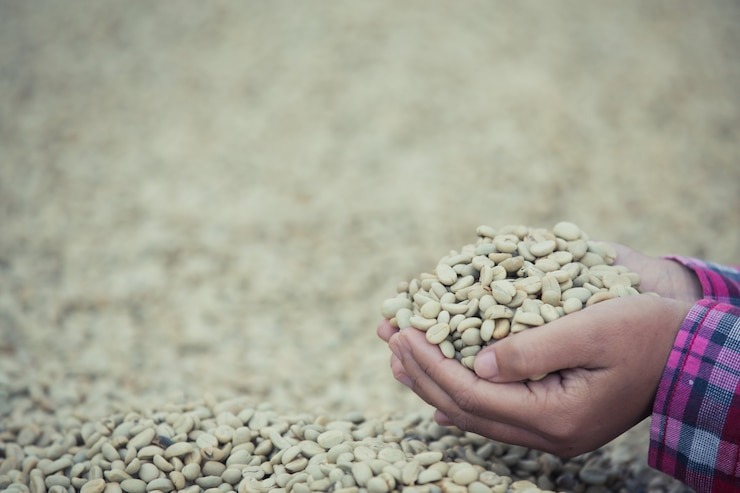 Export Brazilian Coffee Beans in the Right Way