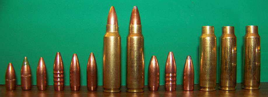 Ammunitions for Sale Profile Picture