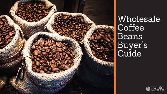 Buying the Best Arabica Coffee Beans and Becoming a Beverage Connoisseur -