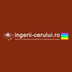 ingerii Cerului Profile Picture