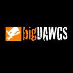 Bigdawgs Promotions profile picture