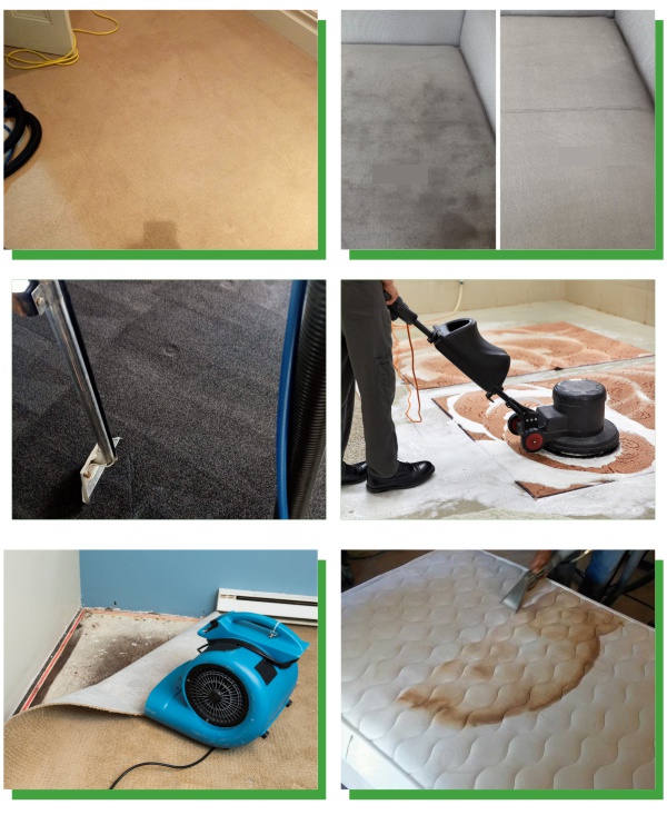 Professional Carpet Cleaning Services in Auckland – South, West, North Shore, Manukau, East