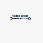 Toledo Spring profile picture