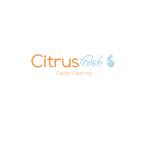 Citrus fresh carpet cleaning Profile Picture