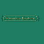 Steamex Eastern of Toledo Profile Picture